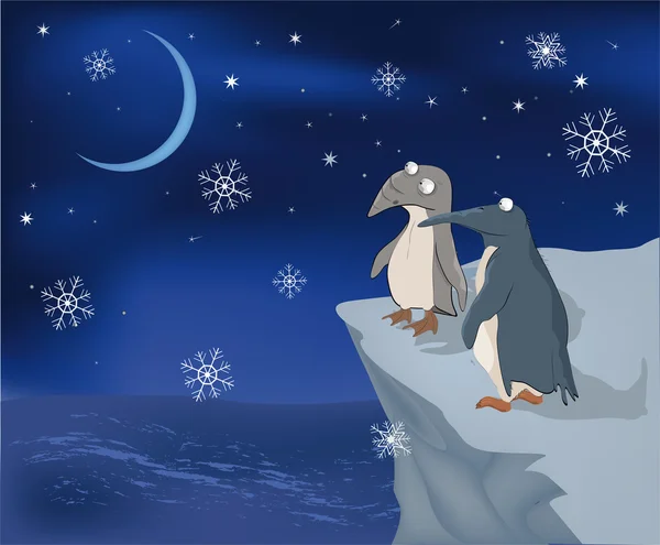 Πιγκουΐνους σε ένα βράχο και το χιόνι — Διανυσματικό Αρχείο