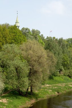 ağaçlar nehir kıyısı