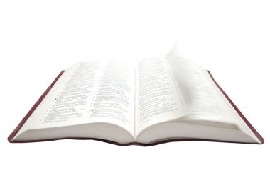 Open Bible clipart