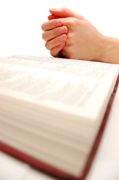 Ima, amely nyitott Bibliát기도 오픈 성경 스톡 사진