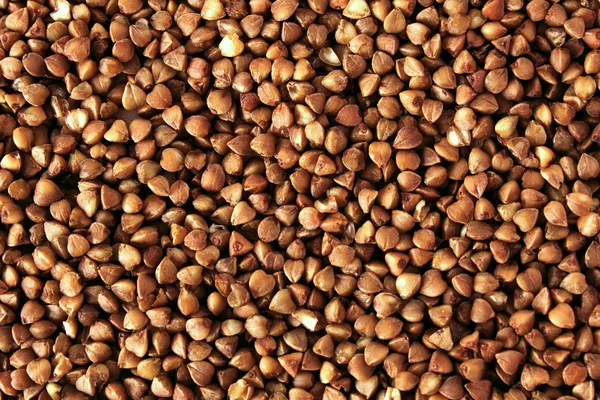 Buckwheat groats background — Stock Photo, Image
