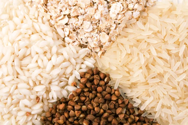 Oats, rice and buckwheat — Stock Photo, Image