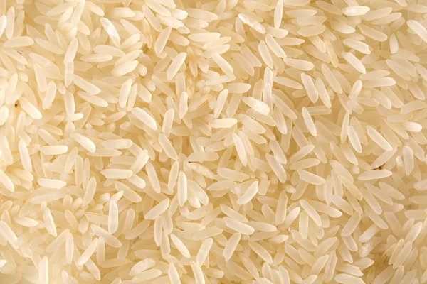 水稻背景 — 图库照片