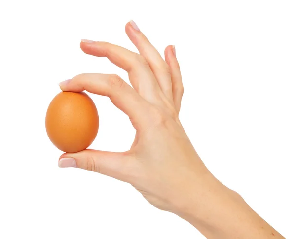Kahverengi yumurta tutan el — Stok fotoğraf