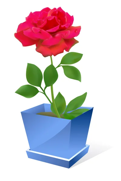 stock vector Red rose flower in pot