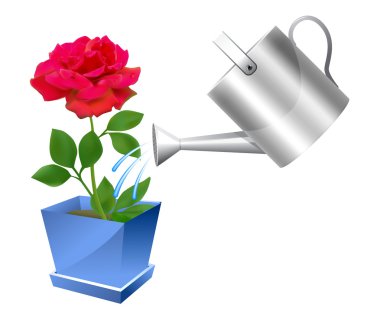 Watering can with rose illustration clipart