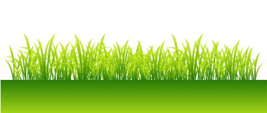 Spring, green grass for your design clipart