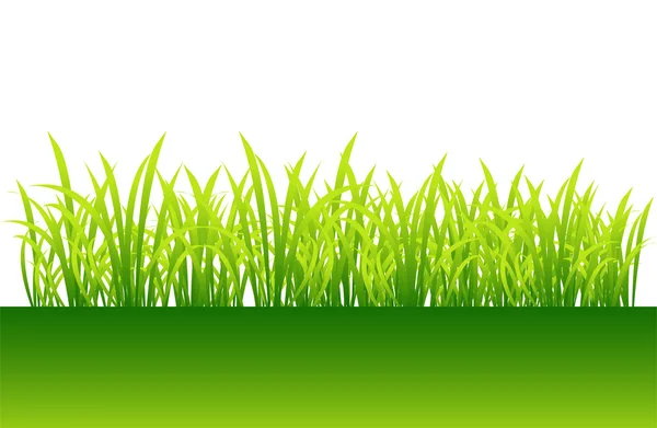 Primavera, hierba verde para su diseño — Vector de stock