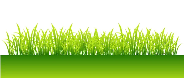 Zöld tavaszi fű a design — Stock Vector