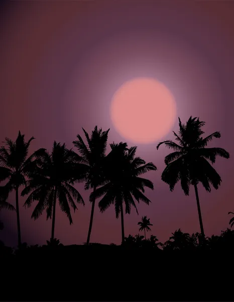Tropický západ slunce, silueta palmy — Stockový vektor