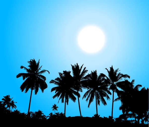 Pôr do sol tropical, silhueta de palmeira — Vetor de Stock