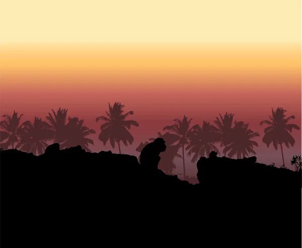 Trópusi naplemente, pálmafa sziluett — Stock Vector