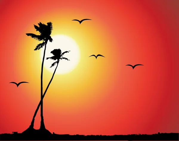 Tropisk solnedgång, palmträdsiluett — Stock vektor