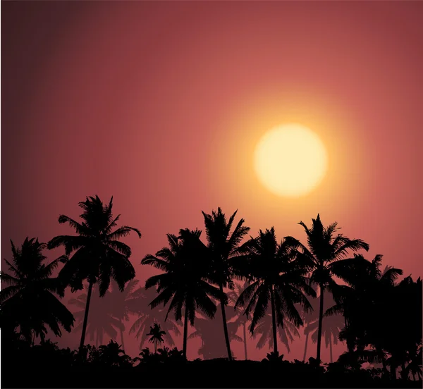 Atardecer tropical, silueta de palmera — Vector de stock