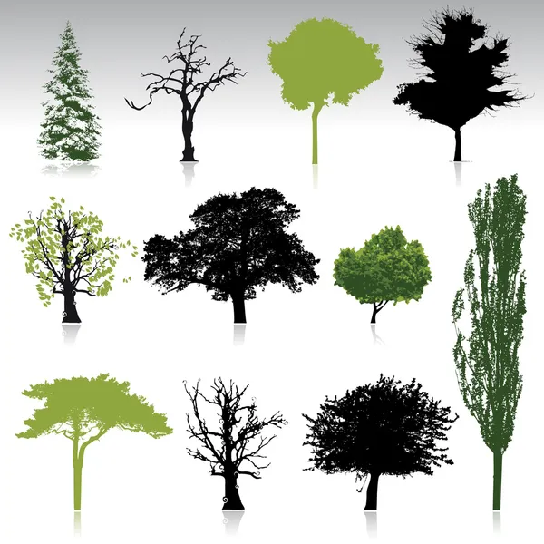 あなたの設計のための木のコレクション — ストックベクタ