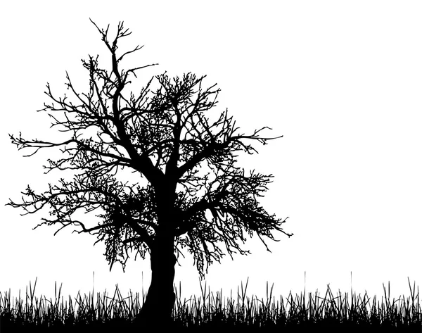 Vecchio albero silhouette — Vettoriale Stock