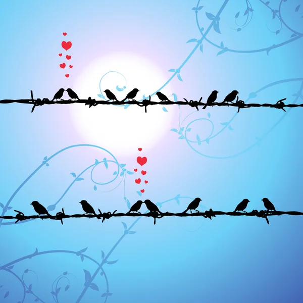 Miłość, ptaki całujące się na gałęzi — Wektor stockowy