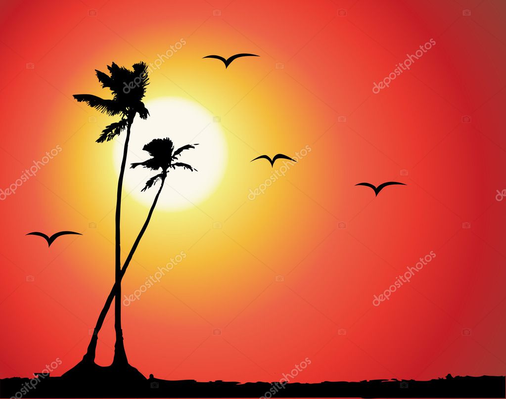 Tropical Sunset Palm Tree Silhouette Vector Image By C Kudryashka Vector Stock