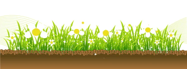 Tavasz, virágok a réten — Stock Vector