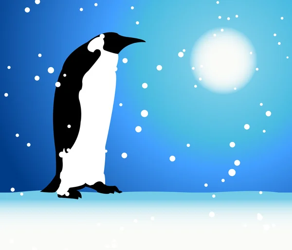 Pinguim, inverno no Ártico —  Vetores de Stock