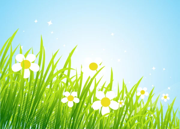 Våren äng vackra — Stock vektor