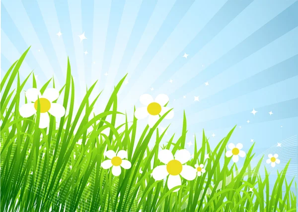 Wiosna łąka piękne — Wektor stockowy