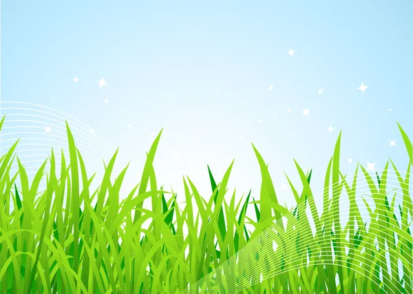 Wiosna łąka piękne — Wektor stockowy