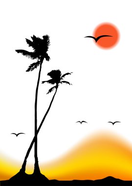 Tropik gün batımı, palmiye ağacı silueti