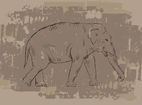 Elephant sketch on grunge background — Stock Vector