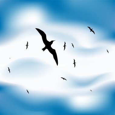 Birds flying in sky clipart