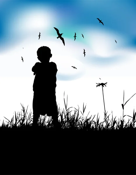 Kleine jongen op zomer veld, silhouet — Stockvector