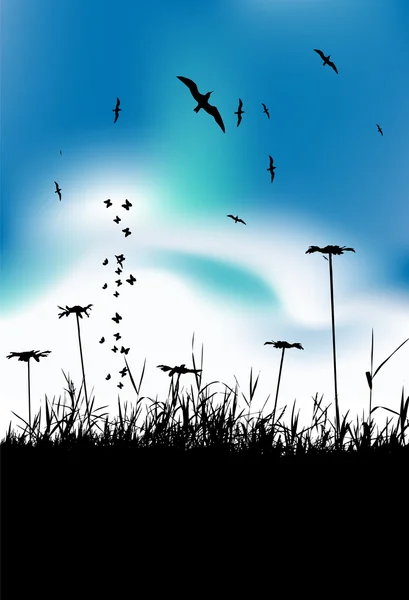 Summer meadow and birds in sky — Stock Vector