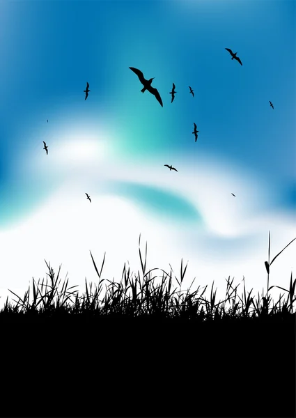 Letní louka a ptáků na obloze — Stockový vektor