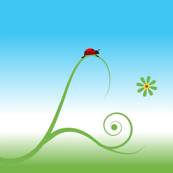 瓢虫，春天背景 — 图库矢量图片