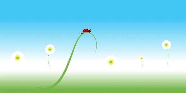 Lieveheersbeestje, voorjaar achtergrond — Stockvector