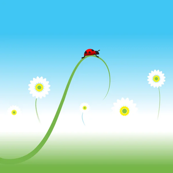Ladybug, spring background — Stock Vector
