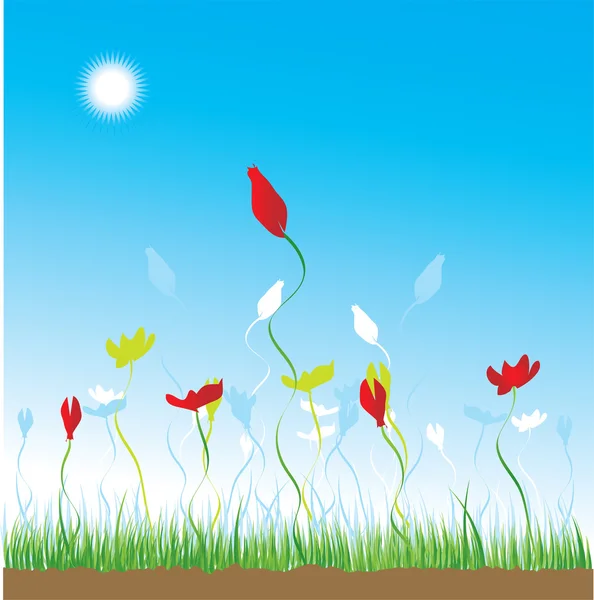 Herbe et fleurs sur un fond de ciel — Image vectorielle