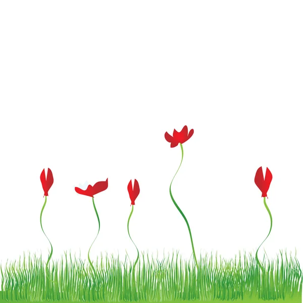 Травяной фон, цветы красный — стоковый вектор