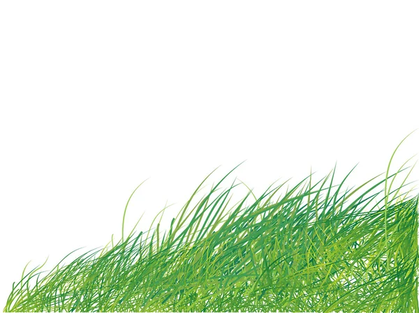 Gras silhouet groen, zomer achtergrond — Stockvector