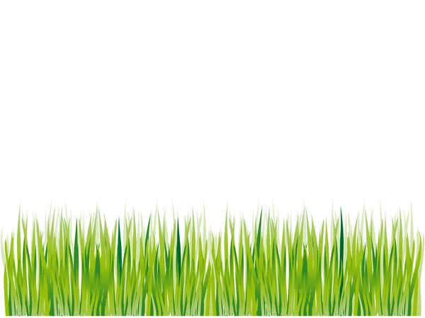 Çim siluet yeşil, yaz arka plan — Stok Vektör
