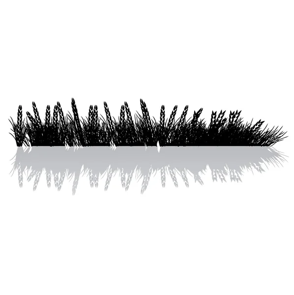 Silhouette en herbe noire, blé — Image vectorielle