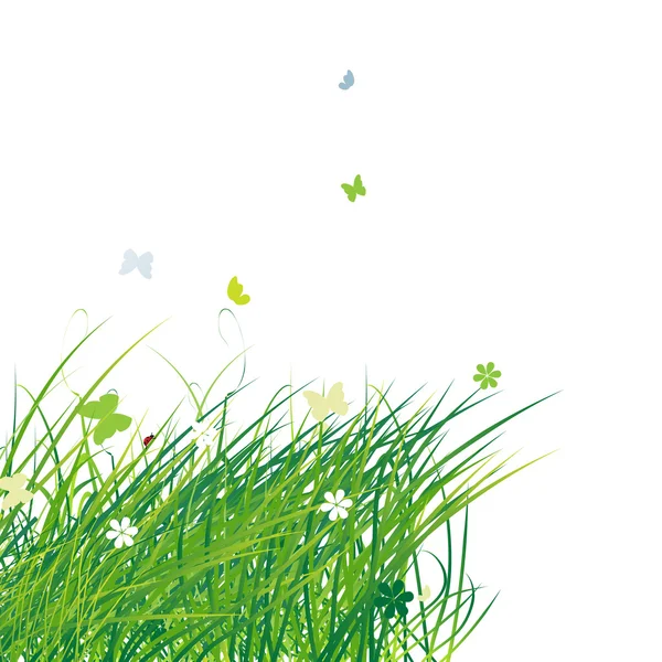 Green field with butterflies, summer background — Stock Vector