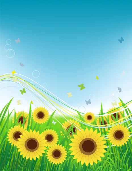 Pré d'été, champ de tournesols et papillons — Image vectorielle