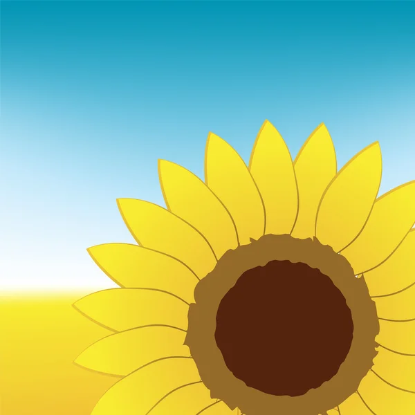 Sunflower on summer field — Stock Vector