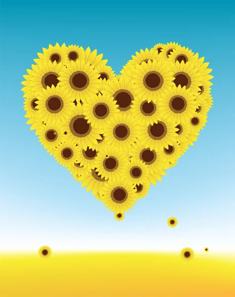 Zonnebloemen hart vorm voor uw ontwerp, zomer veld — Stockvector