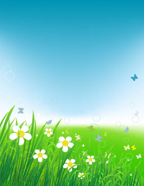 Green field with butterflies, summer background — Stock Vector