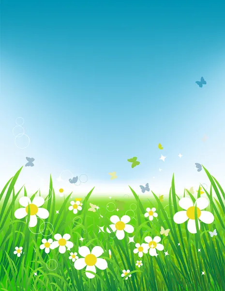 Зеленое поле с бабочками, летний фон — стоковый вектор