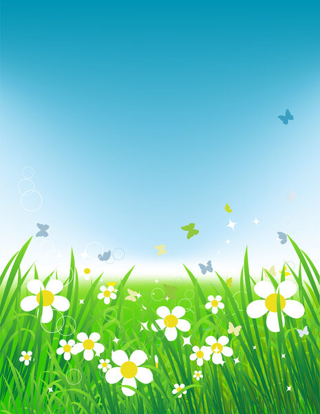 Зеленое поле с бабочками, летний фон