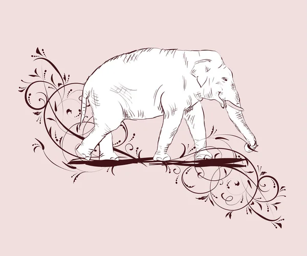 Disegno bianco elefante decorato disegno floreale — Vettoriale Stock