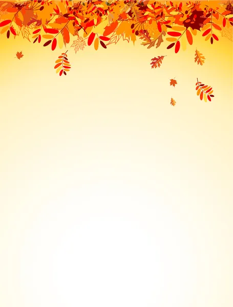 Fondo de hojas de otoño para su diseño — Vector de stock
